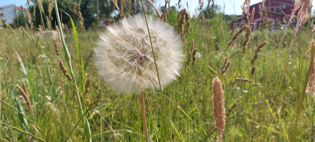 Priroda stvara najveća remek djela, a čovjek joj nanosi najveću bol